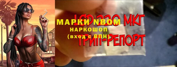 ECSTASY Алзамай