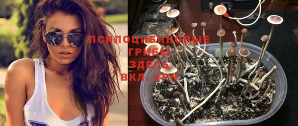 гидра Покачи
