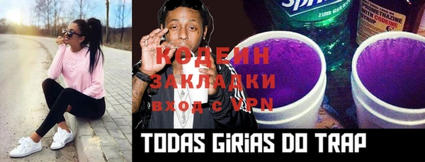 ECSTASY Алзамай