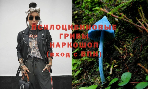 скорость Алексин
