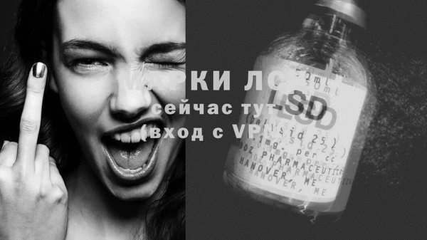 ECSTASY Алзамай
