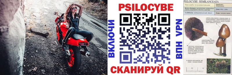 Псилоцибиновые грибы мухоморы  Катав-Ивановск 