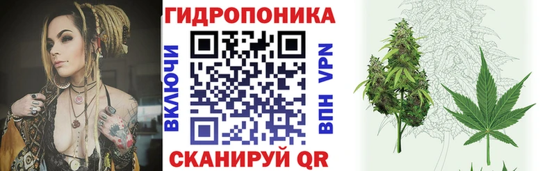 Каннабис марихуана  где купить   Катав-Ивановск 